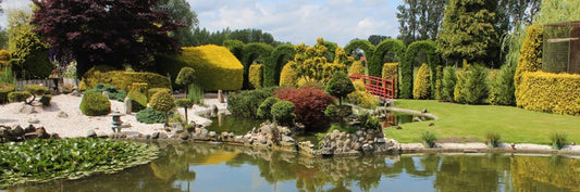 Green zen garden