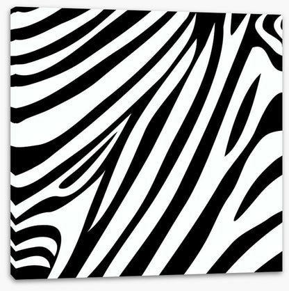 Animal Print