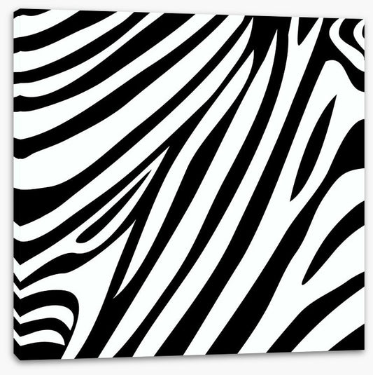 Animal Print