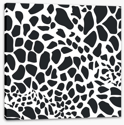 Animal Print