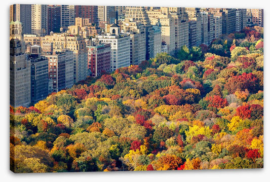 Fall into the city