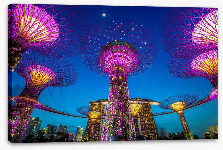 Singapore supertree