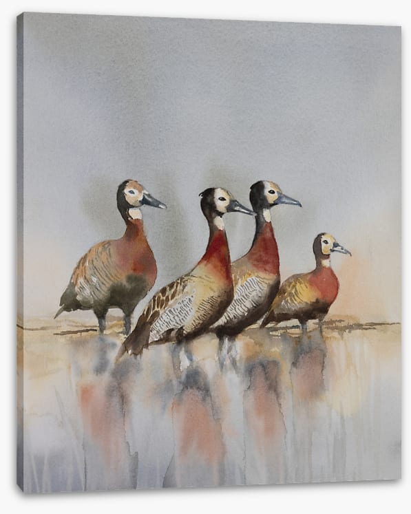 Four whistling ducks