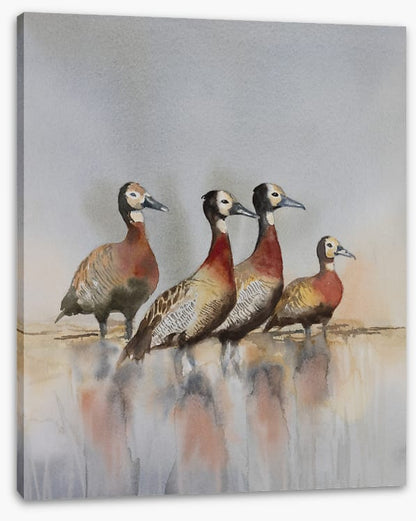 Four whistling ducks