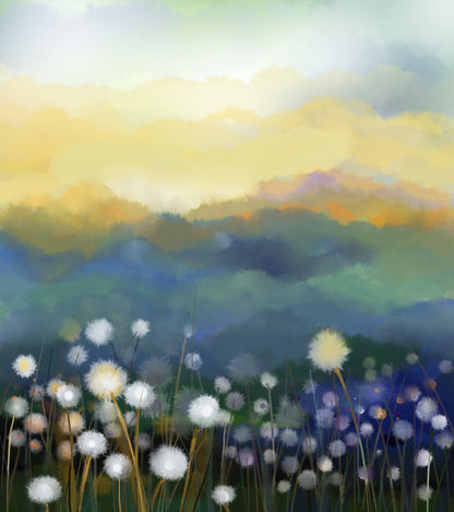 Meadow morning