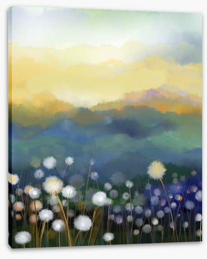 Meadow morning
