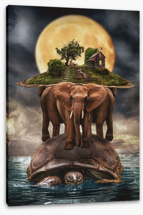 Natural history