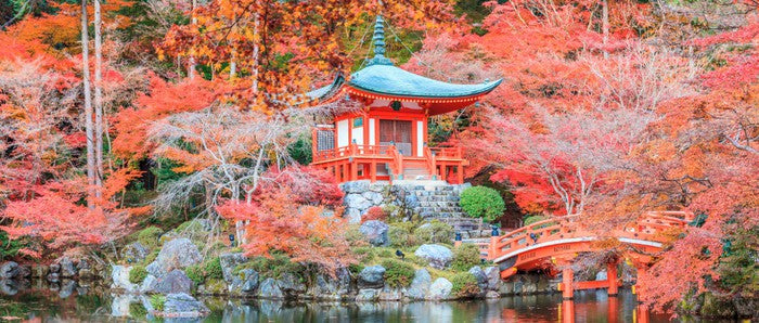 Kyoto temple in Autumn