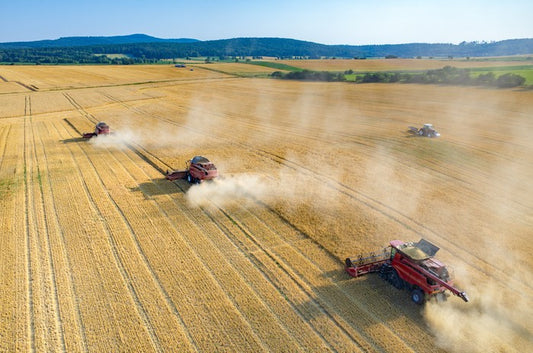Agriculture