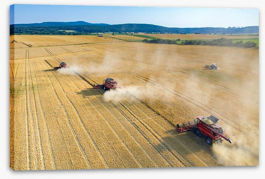 Agriculture
