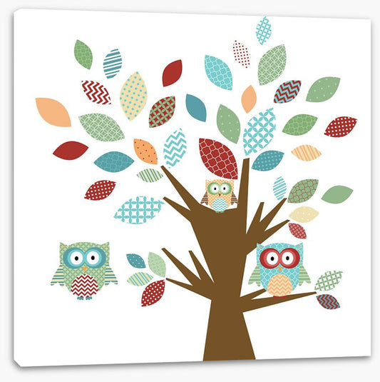 Owls