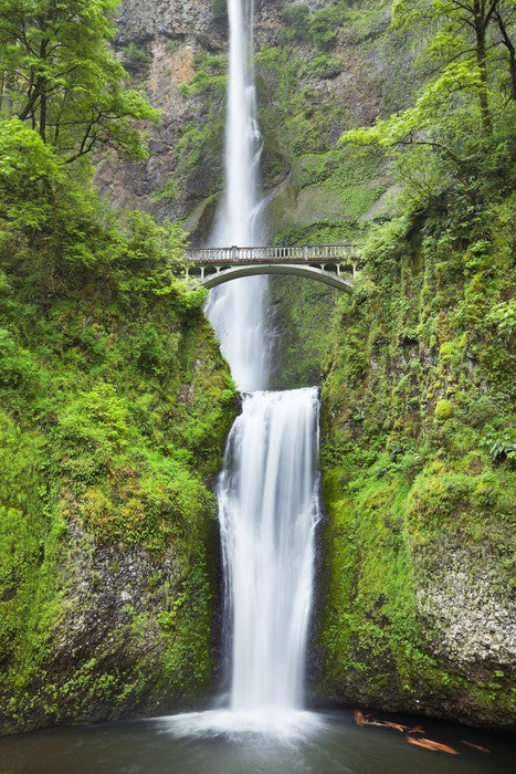 Behind the bridge