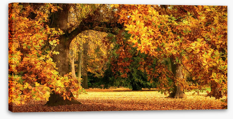 Below the golden bough