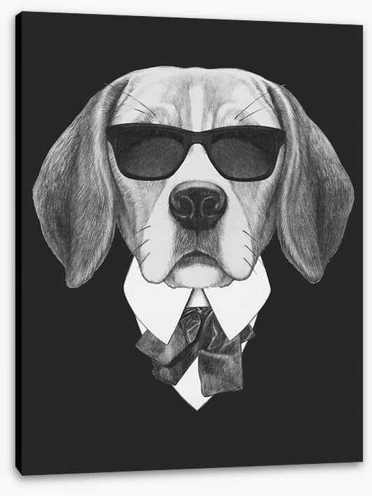 Suave beagle
