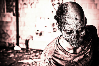 After the apocalypse