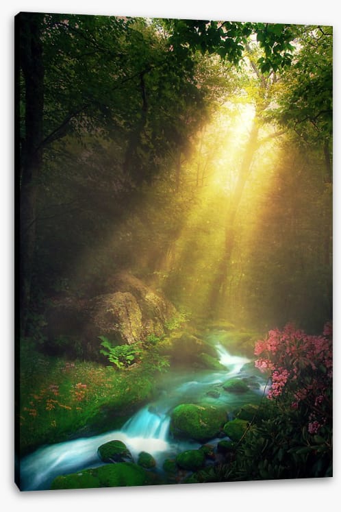 Magical morning stream