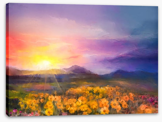Golden daisy sunset
