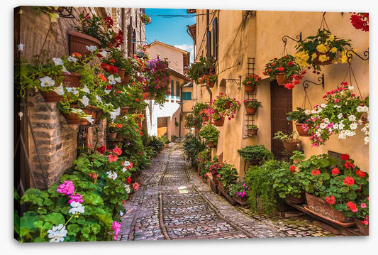 Floral alley in Umbria, Italy
