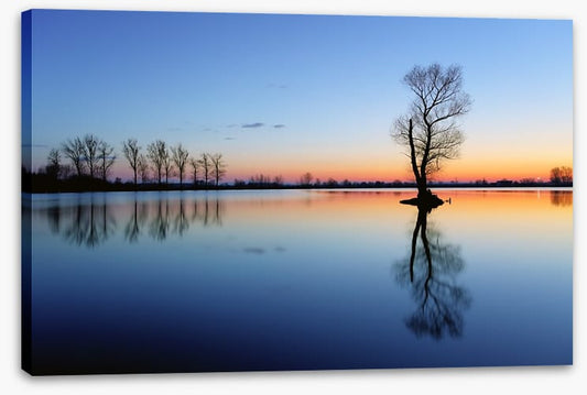 Silhouette tree reflections