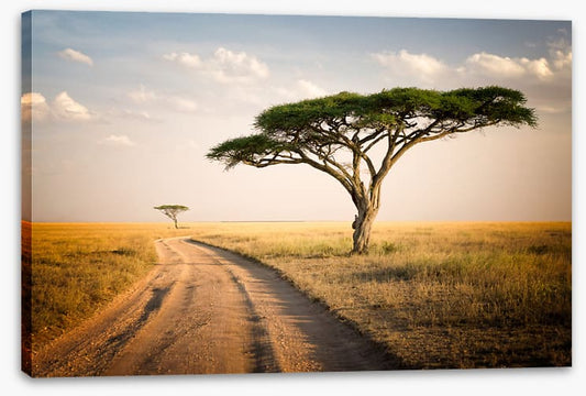 Africa