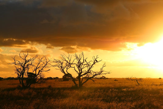 Breaking the drought