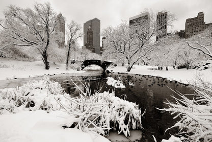 After the snowstorm