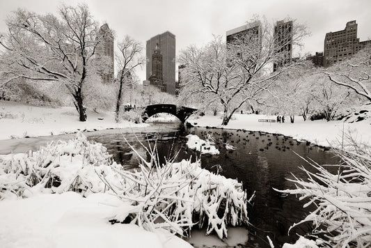 After the snowstorm