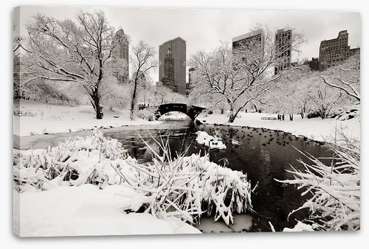 After the snowstorm