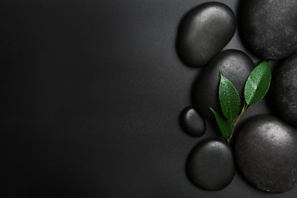 Life in the dark