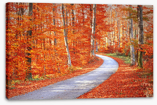 Autumn embers