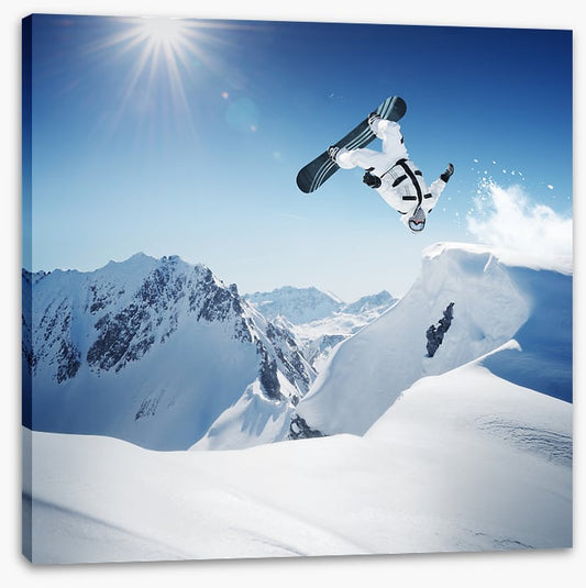 Bluebird tricks