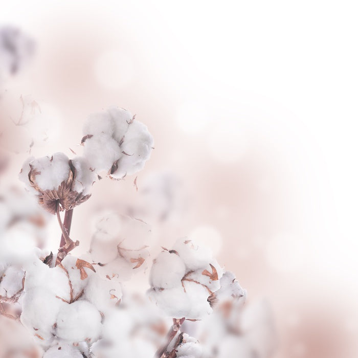 Cotton clouds