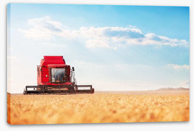 Agriculture