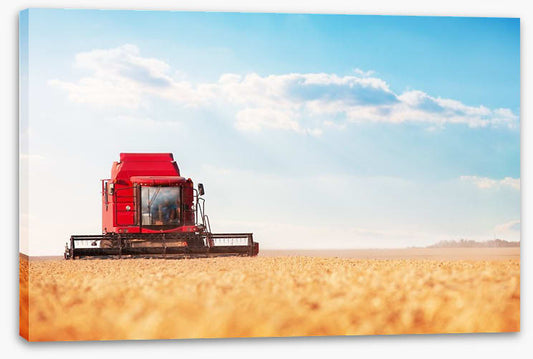 Agriculture