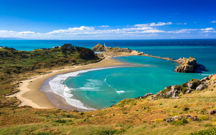 Castlepoint coast