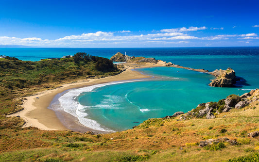 Castlepoint coast