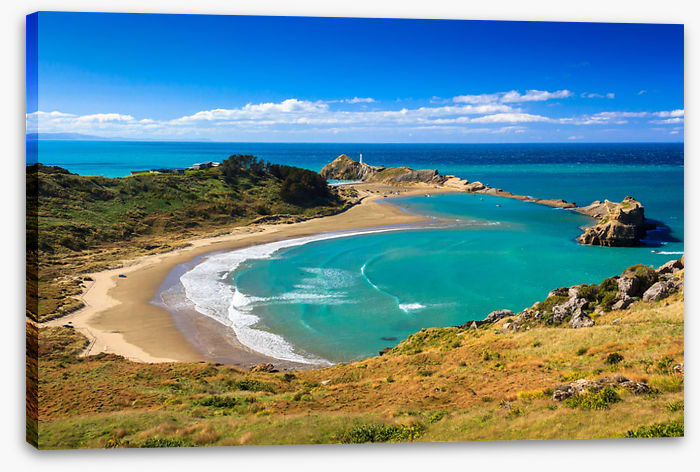 Castlepoint coast
