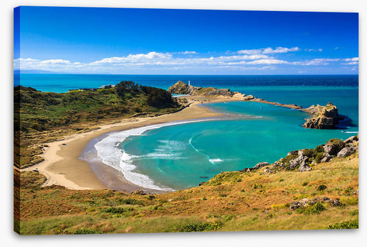 Castlepoint coast