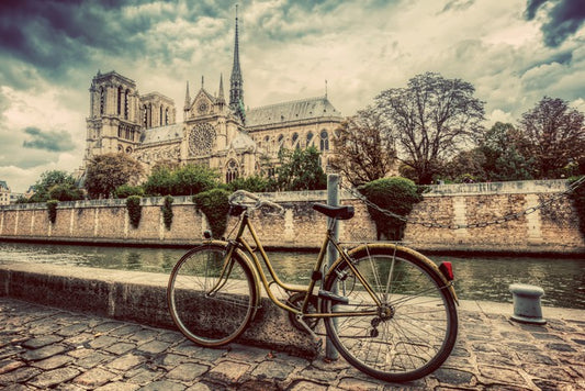 Notre Dame moment