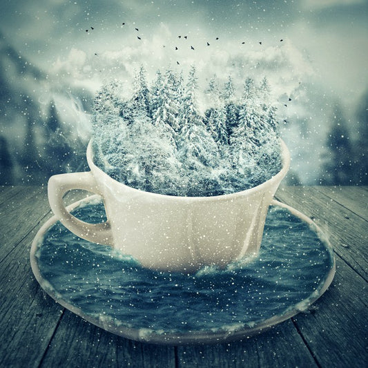 A cup of winter