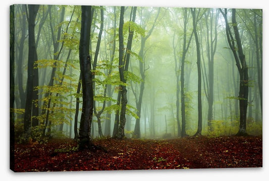 Deep in the mystic woods