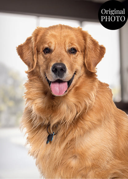 Golden retriever with a blurred background