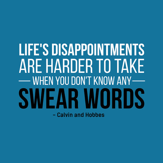 Life's disappointments