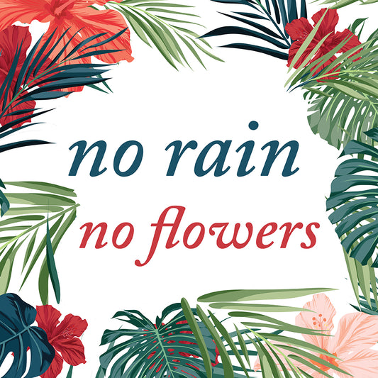 No flowers