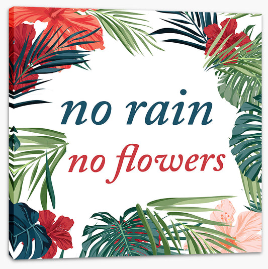 No flowers
