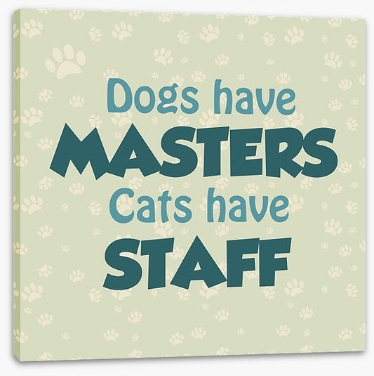 Cats and dogs