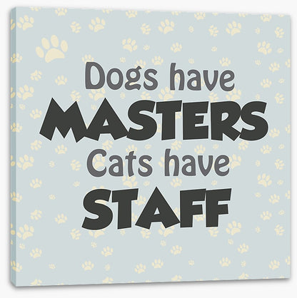 Cats and dogs