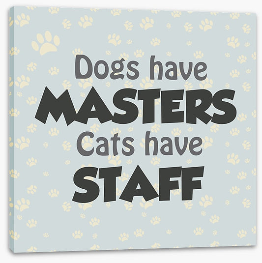 Cats and dogs