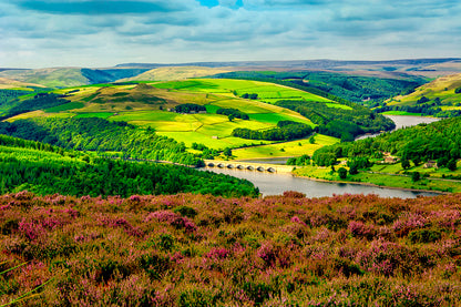 Bamford foliage