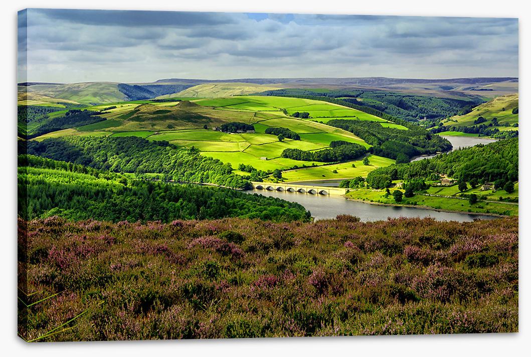 Bamford foliage